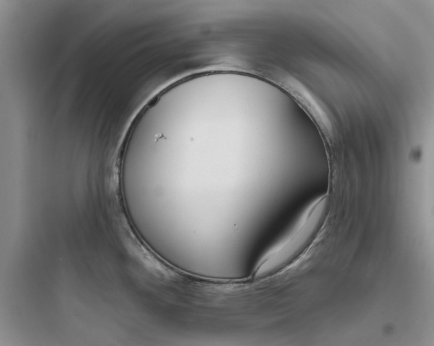 X0000097651292200803211847