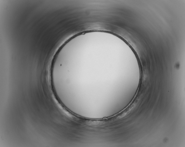 X0000097651293200803211847