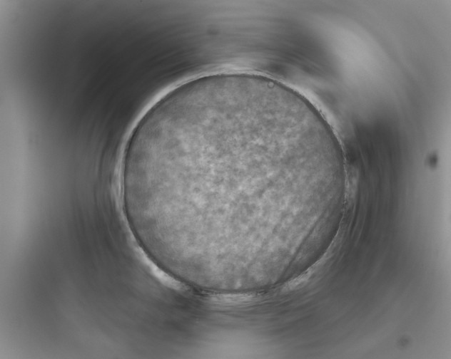 X0000097651294200803211847