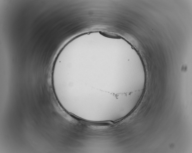 X0000097651296200803211847