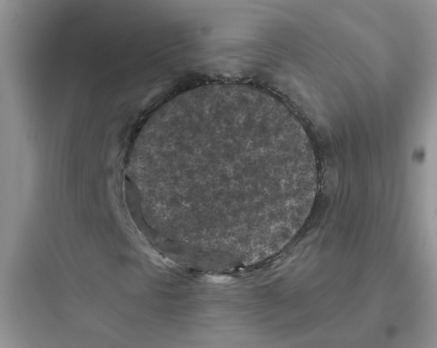 X0000097651297200803211846