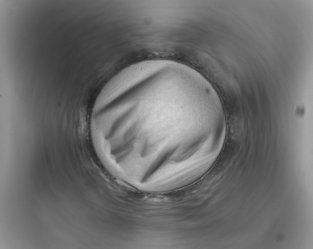 X0000097651298200803211846