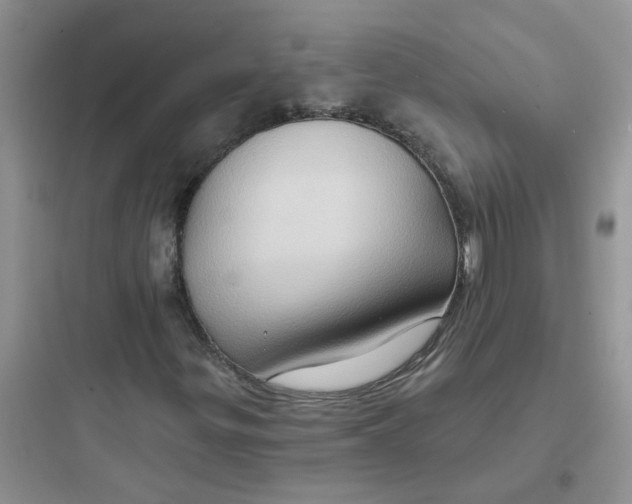 X0000097651299200803211846