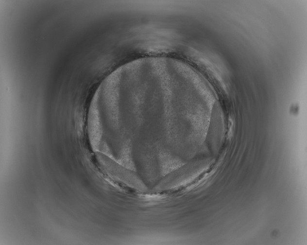 X0000097651300200803211846