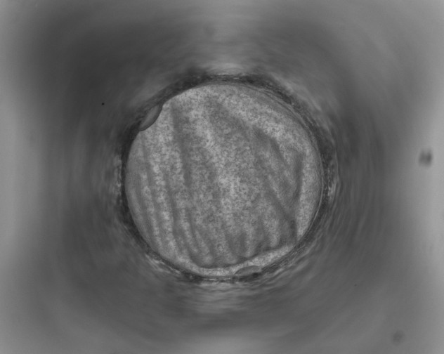 X0000097651301200803211846