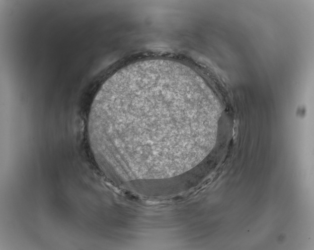 X0000097651302200803211846