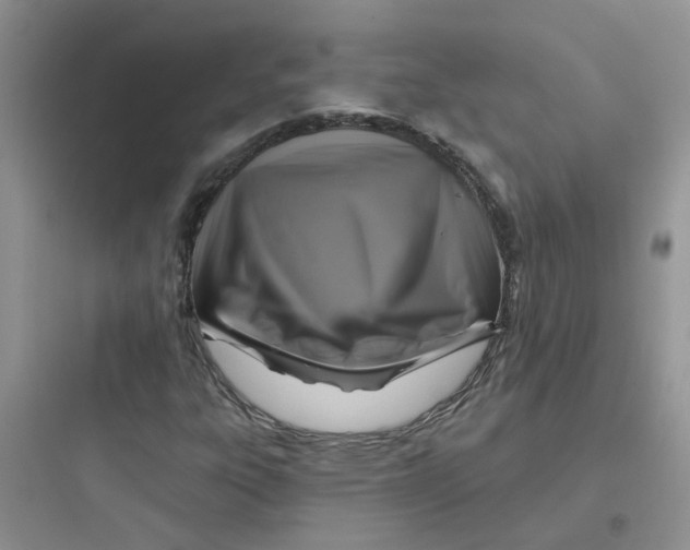 X0000097651303200803211846