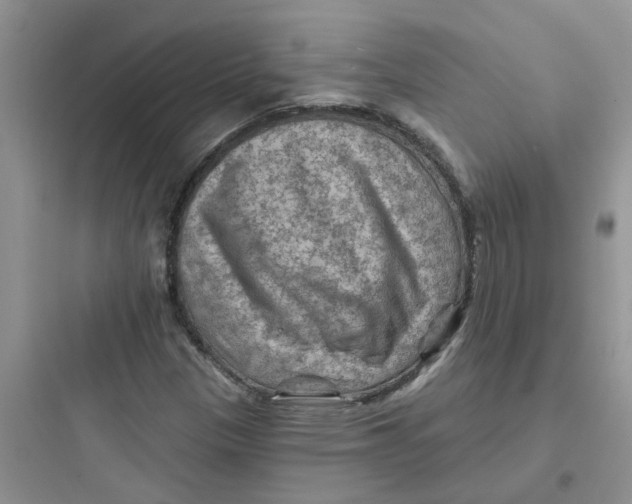 X0000097651305200803211846