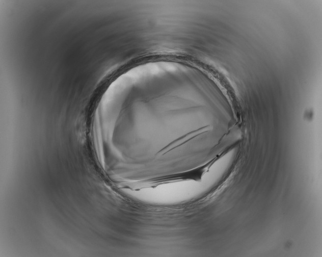 X0000097651306200803211846