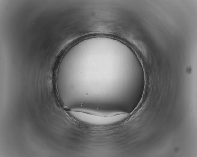 X0000097651307200803211846