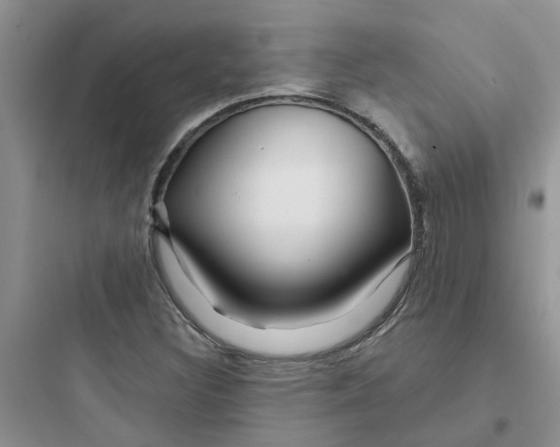 X0000097651308200803211846