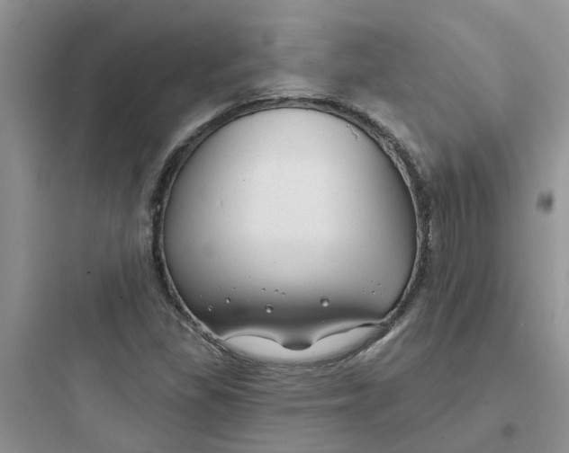 X0000097651309200803211846