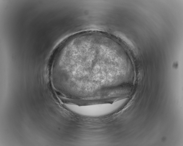 X0000097651310200803211846