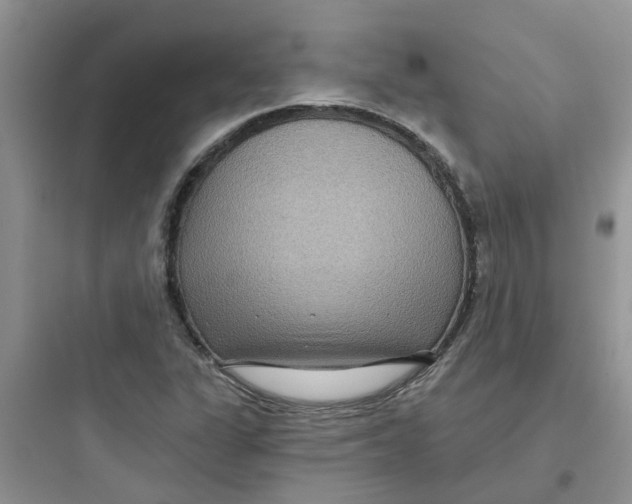 X0000097651311200803211846