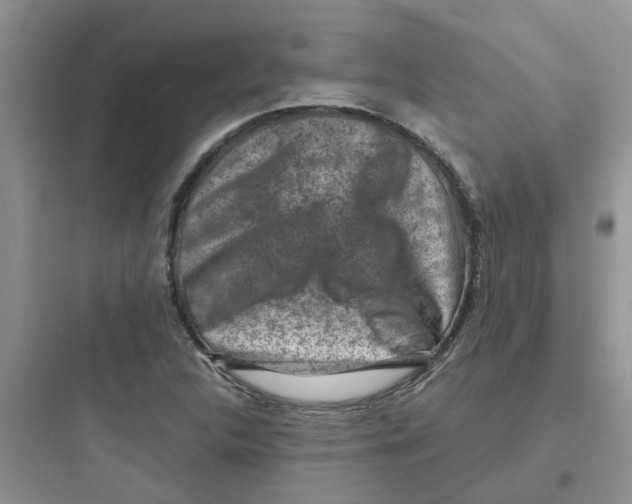 X0000097651312200803211846