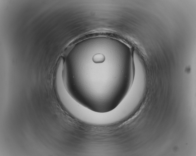 X0000097651313200803211846