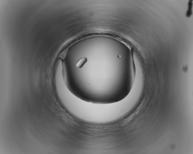 X0000097651314200803211846