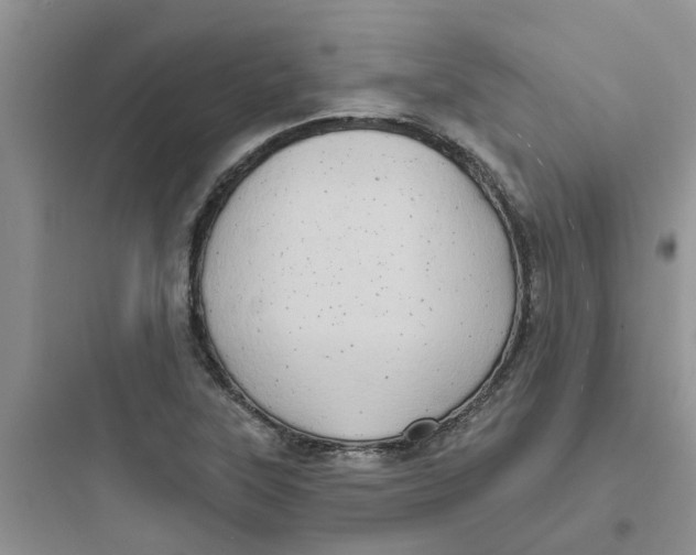 X0000097651315200803211846