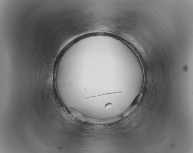 X0000097651316200803211846