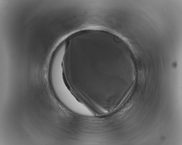 X0000097651319200803211846