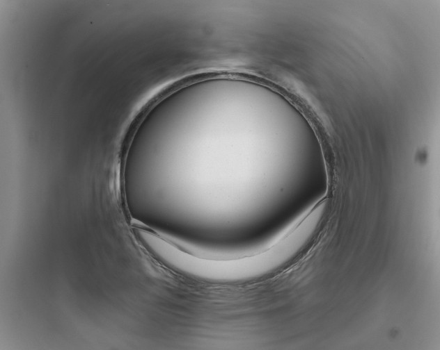 X0000097651320200803211846