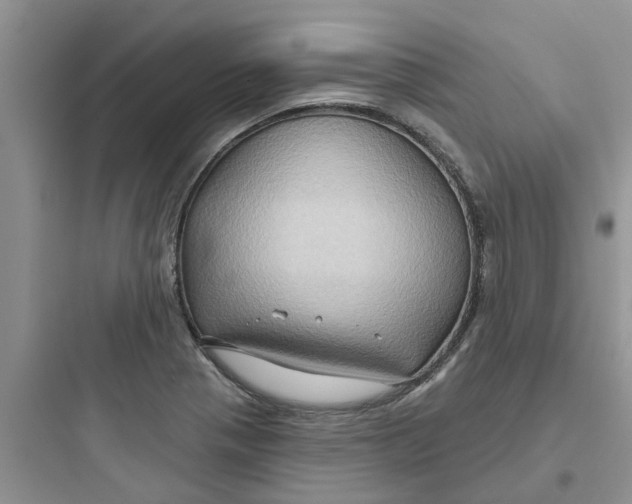 X0000097651321200803211846