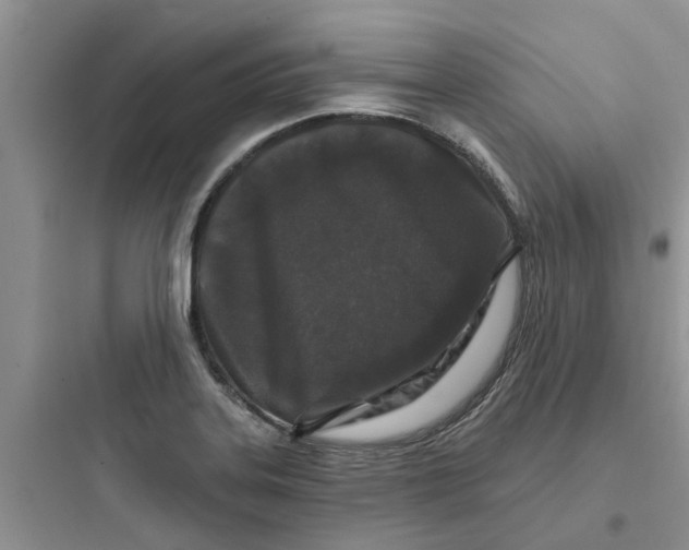 X0000097651323200803211847