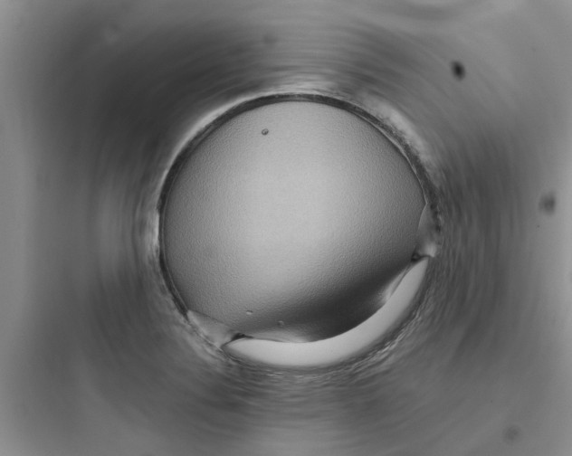 X0000097651324200803211847