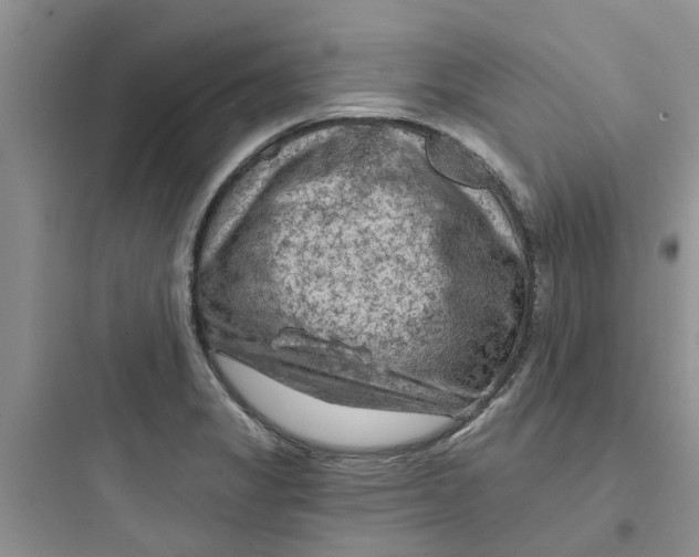 X0000097651325200803211847