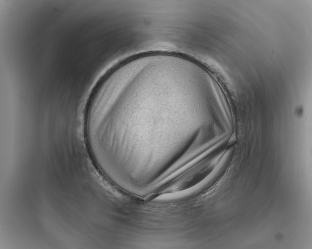 X0000097651326200803211847