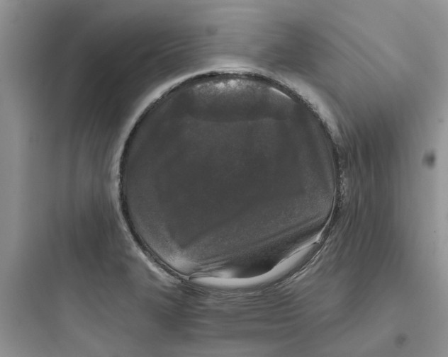 X0000097651327200803211847