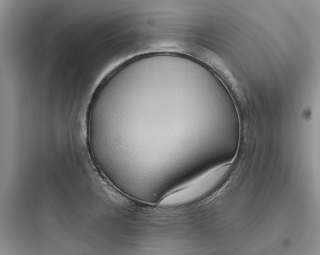 X0000097651328200803211847