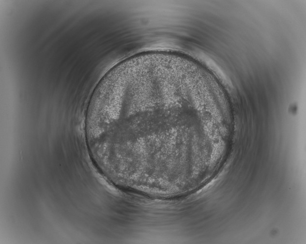 X0000097651329200803211847