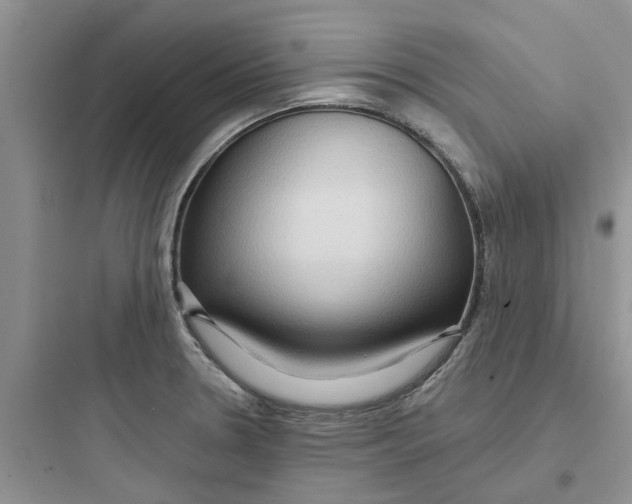 X0000097651330200803211847