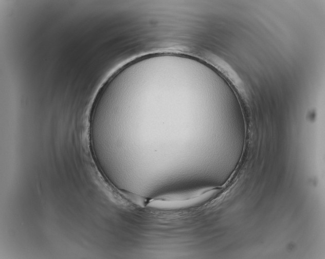 X0000097651332200803211847