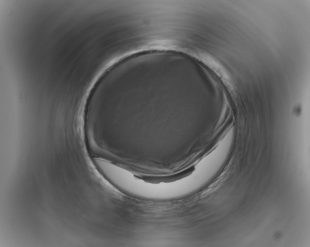 X0000097651334200803211847