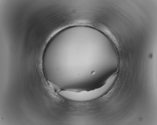 X0000097651336200803211847