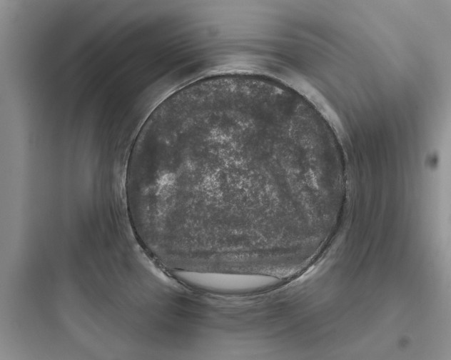 X0000097651337200803211847