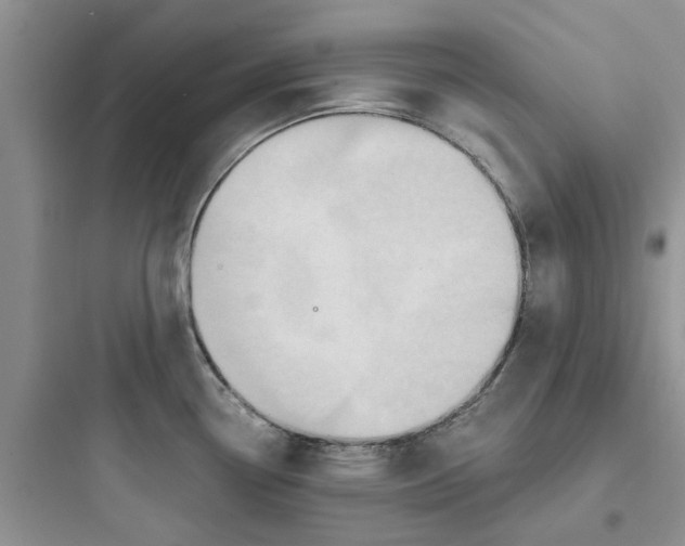 X0000097651338200803211847