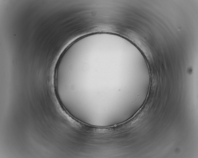 X0000097651339200803211847