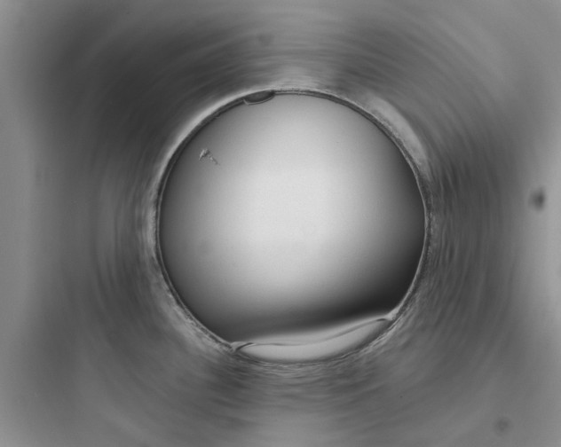 X0000097651340200803211847