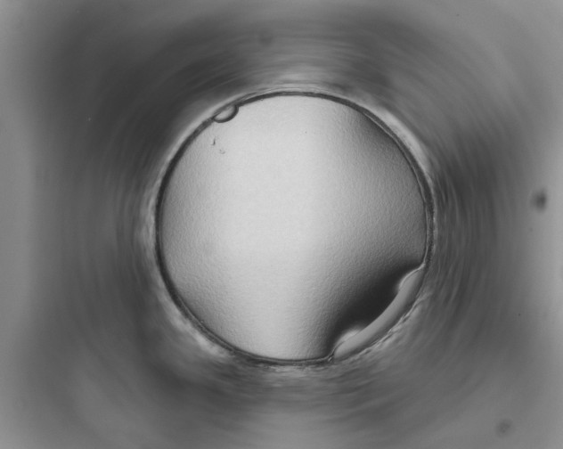 X0000097651341200803211847