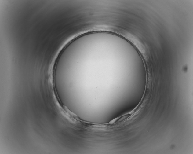 X0000097651342200803211847