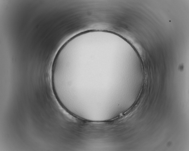 X0000097651343200803211847