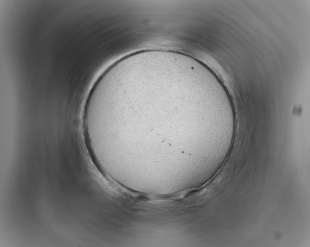 X0000097651344200803211847