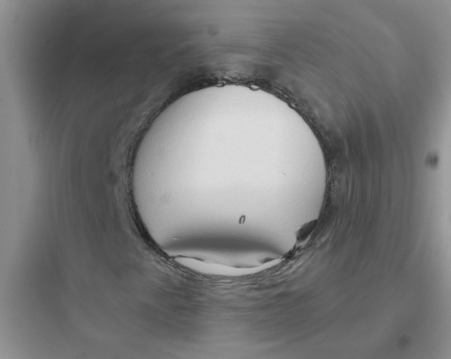 X0000097651345200803211846