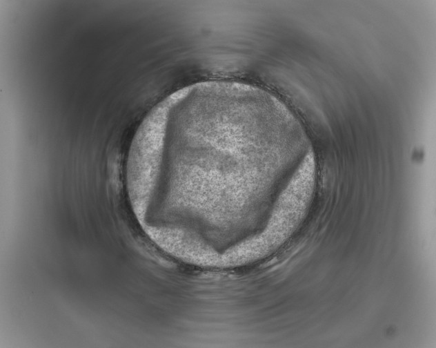 X0000097651346200803211846