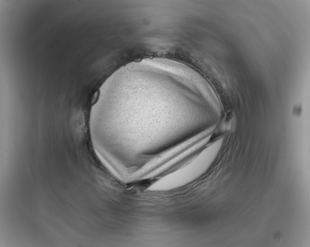 X0000097651347200803211846