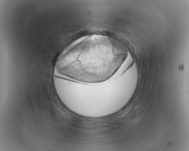 X0000097651348200803211846