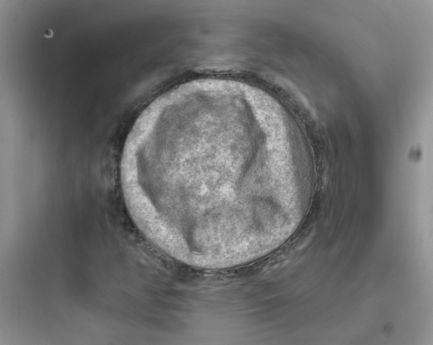 X0000097651350200803211846